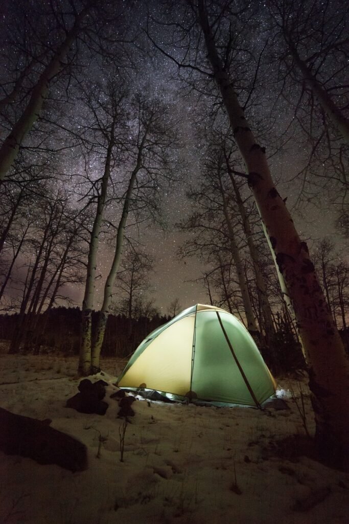 dome tent surrounded with bare trees during night time